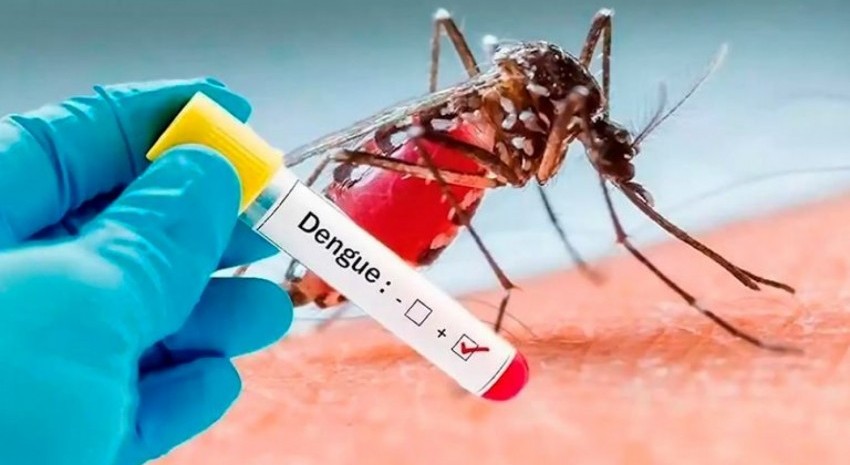 dengue