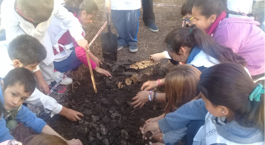 desarrollo social