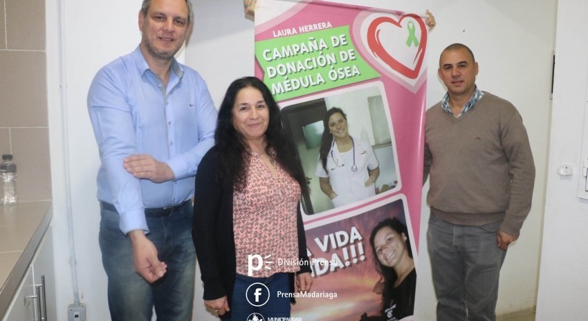 donacion de medula osea