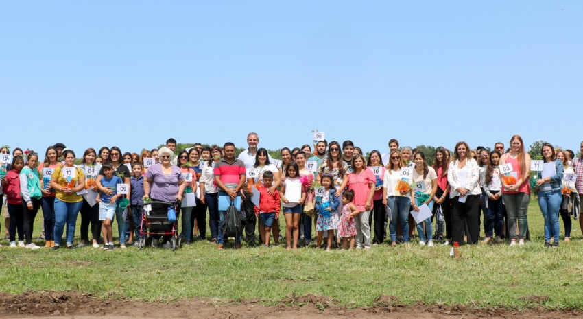 entrega de lotes