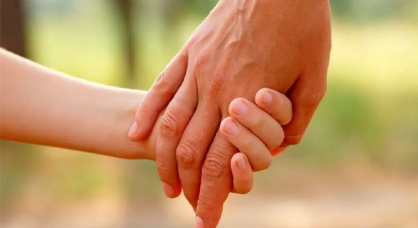 familias solidarias