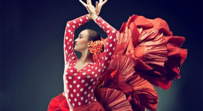 flamenco