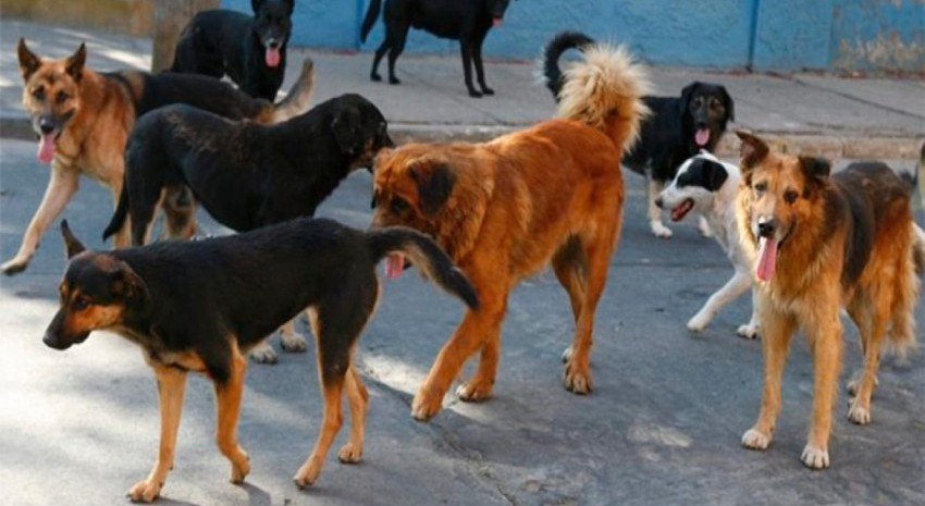 Foto ilustrativa