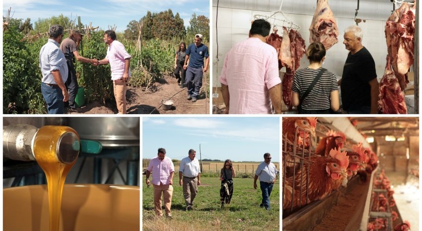 gamboa y productores