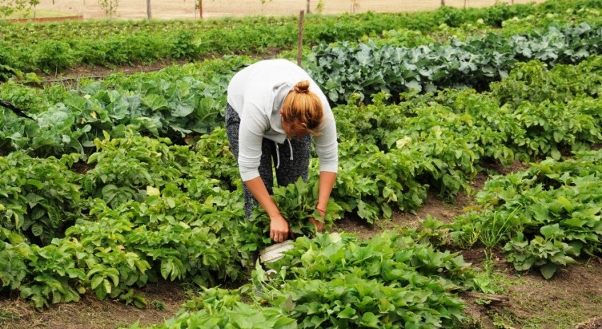 Mujer en la huerta