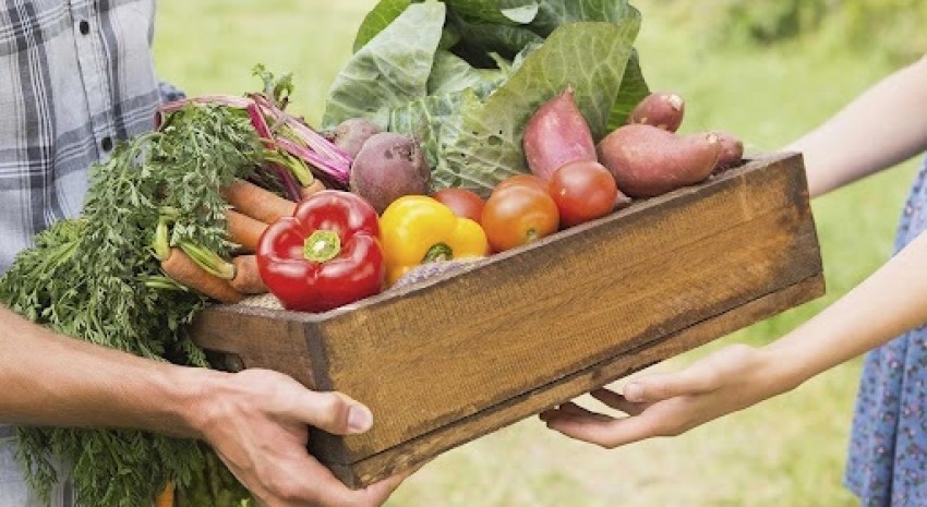 huerta