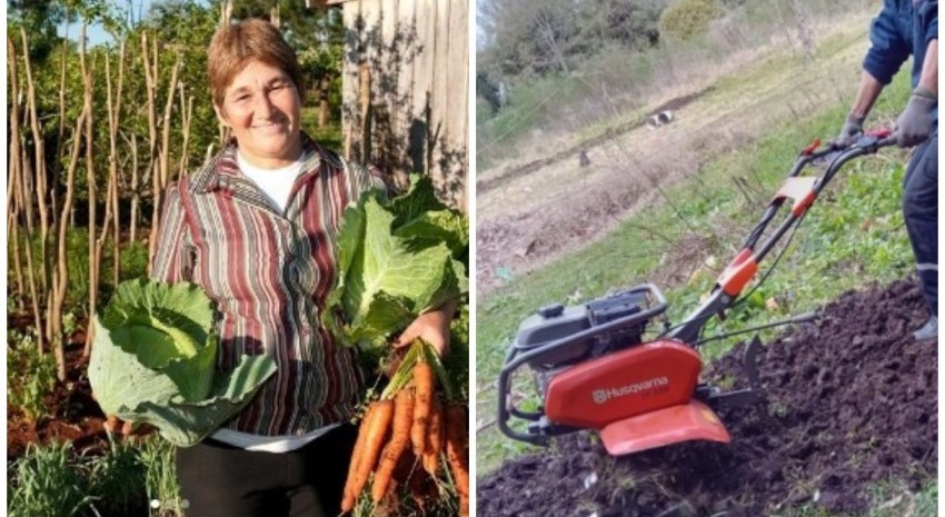 huerta