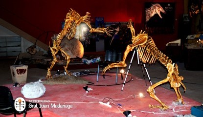Inaugura maana la exposicin de los esqueletos de Tigres dientes de sable