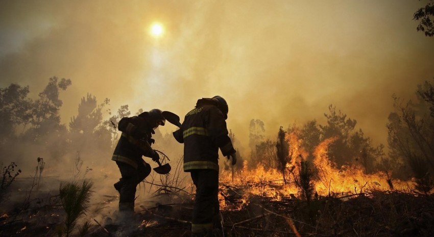 incendios forestales