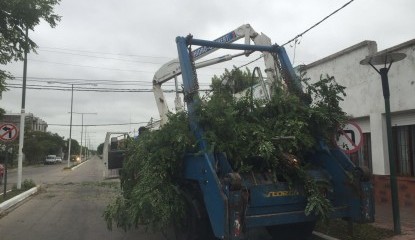 Intenso trabajo de municipales para limpiar la ciudad tras el temporal