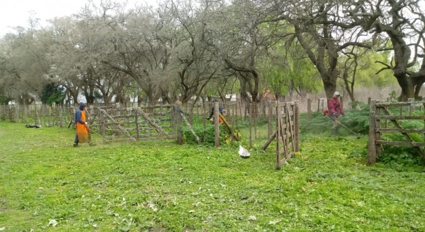 la expo rural