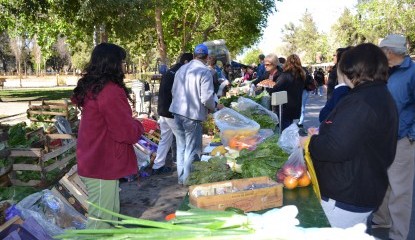 La Feria Franca de Productores se reactiva