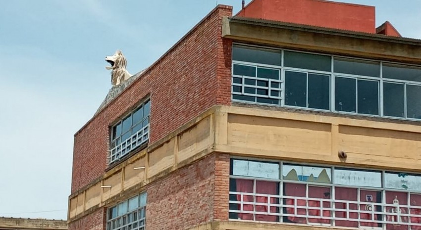 Leon escuela