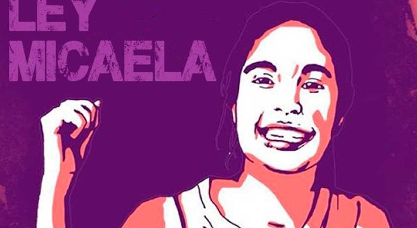ley micaela