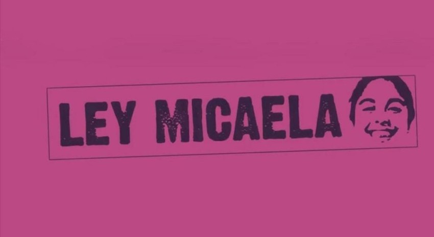 ley micaela