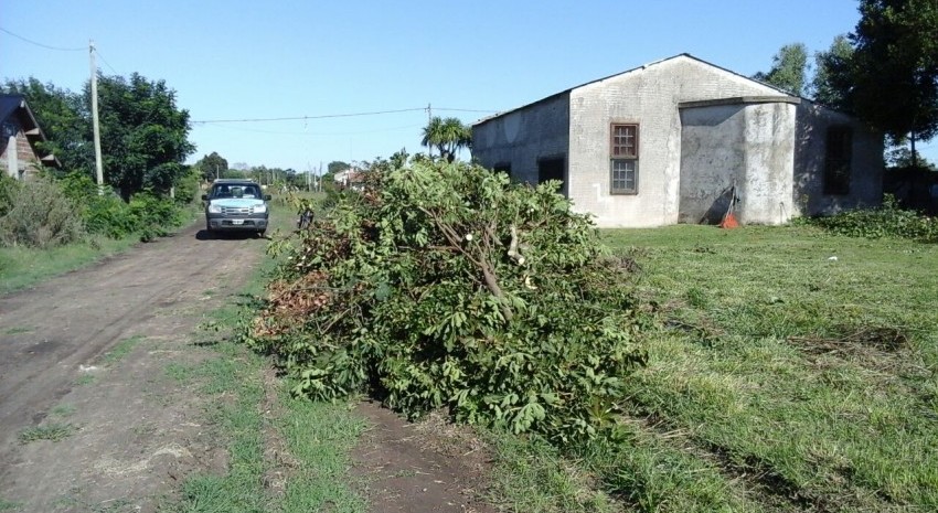 limpieza terreno