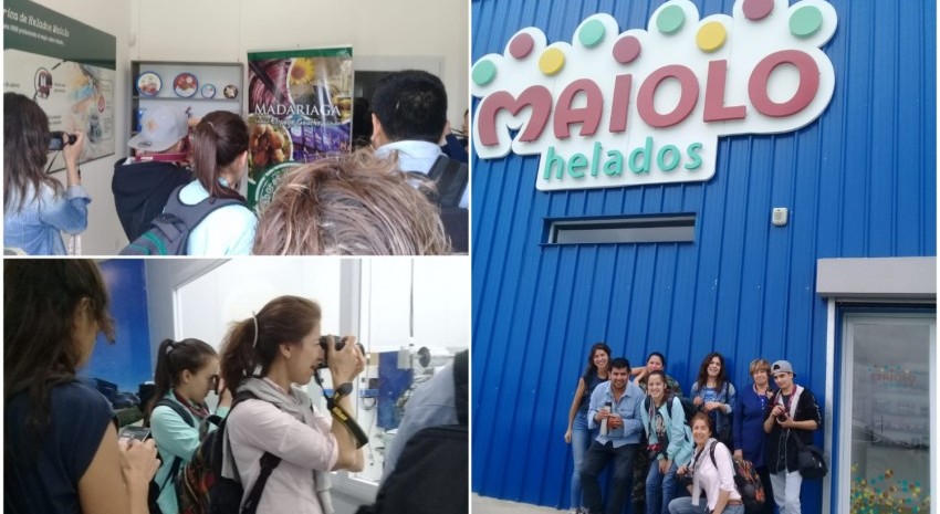 maiolo