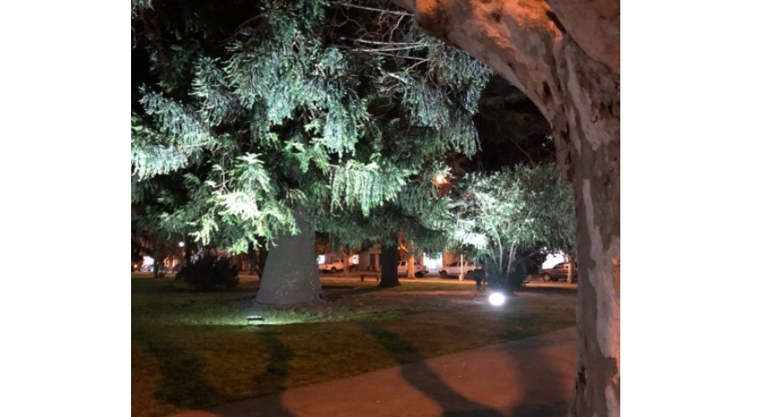 medio ambiente