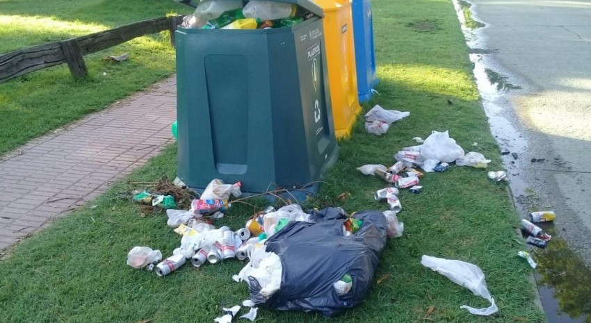 medio ambiente