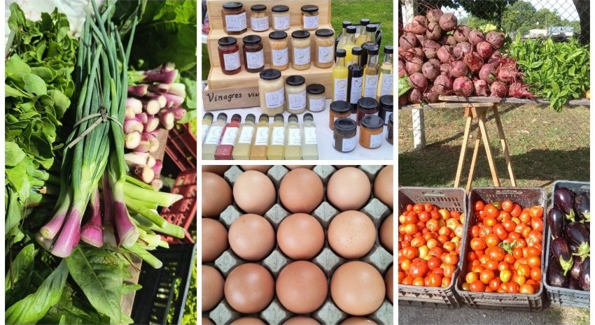 mercado concentrador