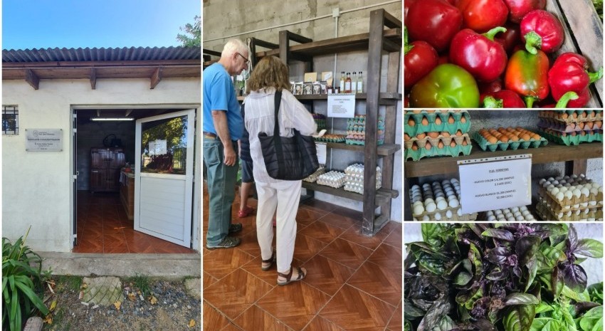 mercado concentrador