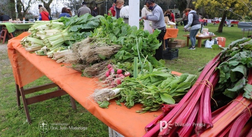 mercado