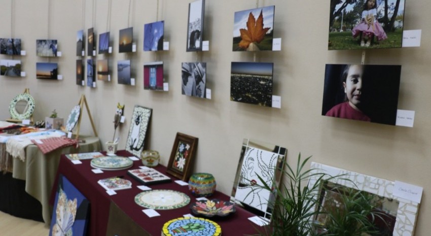 muestra anual bellas artes