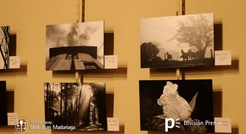 muestra de arte