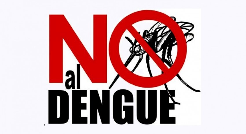 no al dengue