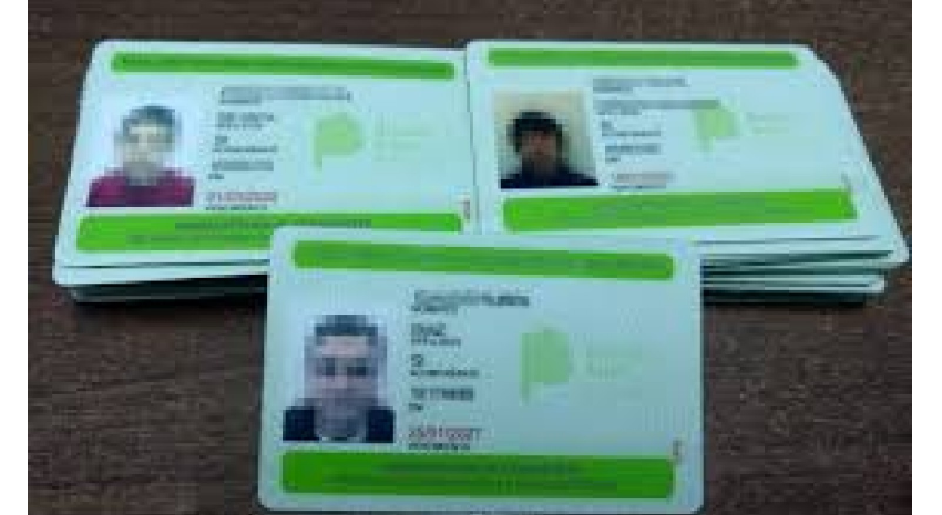pases de transporte