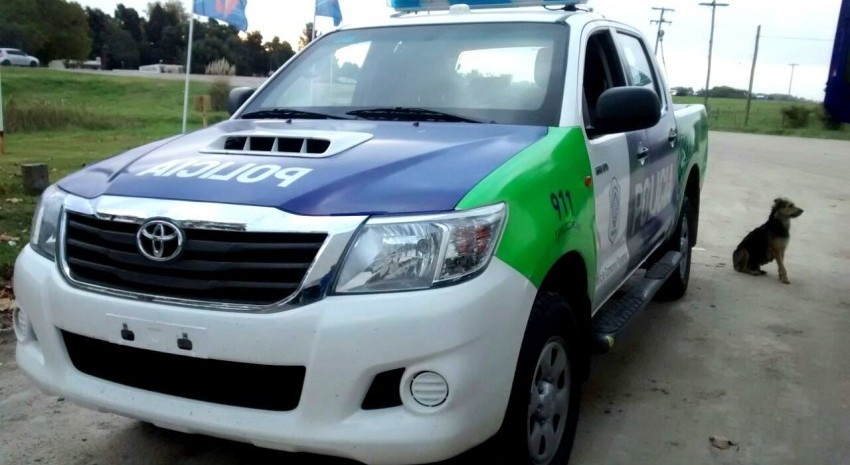 Patrulla policial