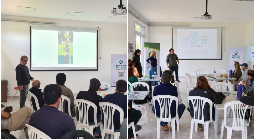 polo capacitaciones