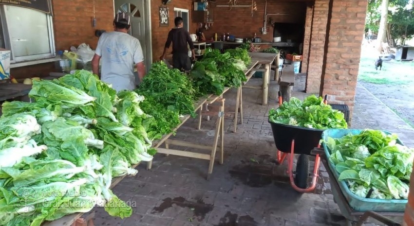 productores