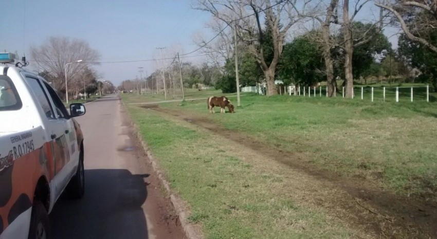 seguridad