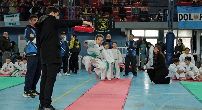 taekwondo