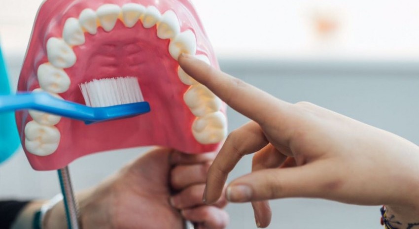 taller bucodental