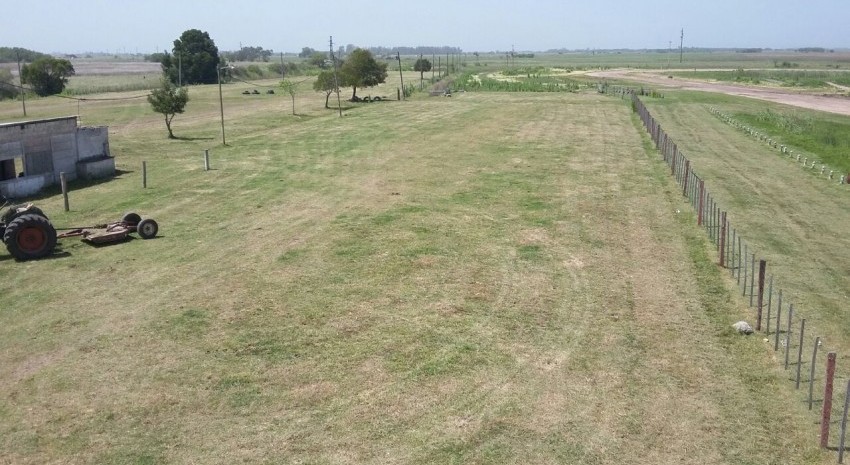 tareas en el circuito