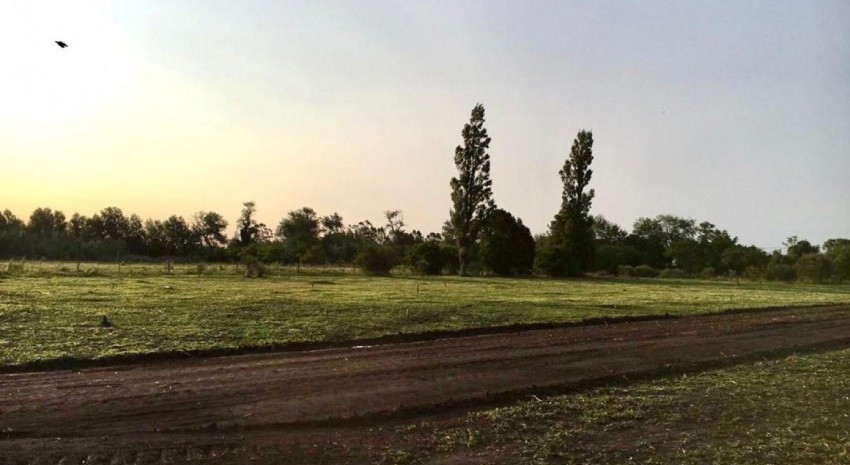 terreno