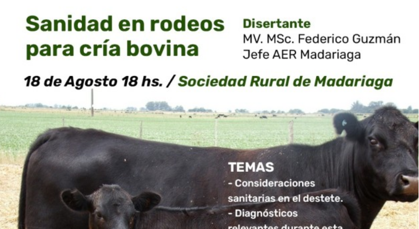 toros
