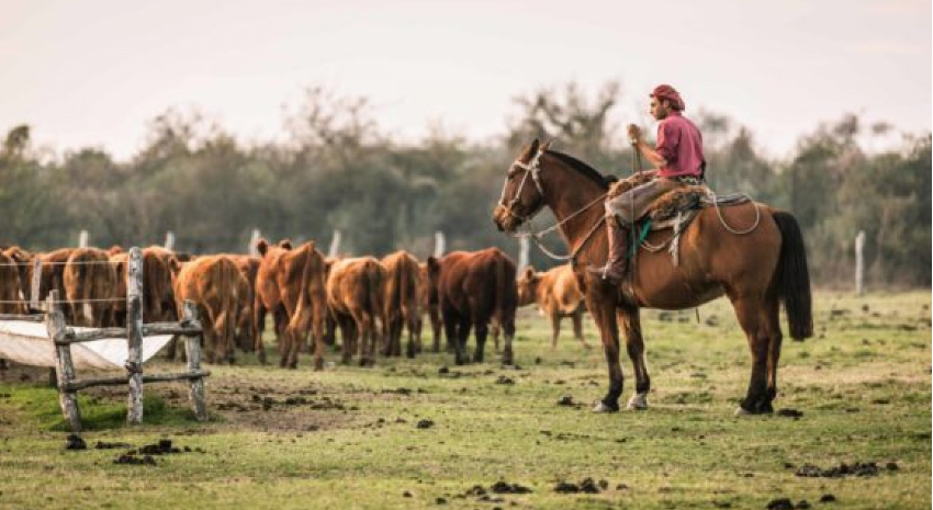 trabajo rural