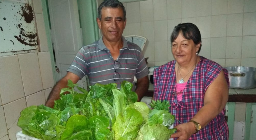 venta verduras