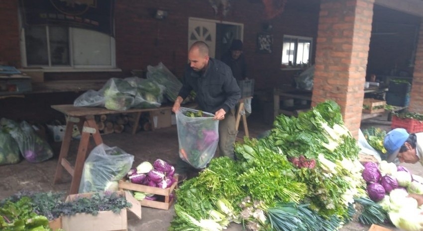 verduras