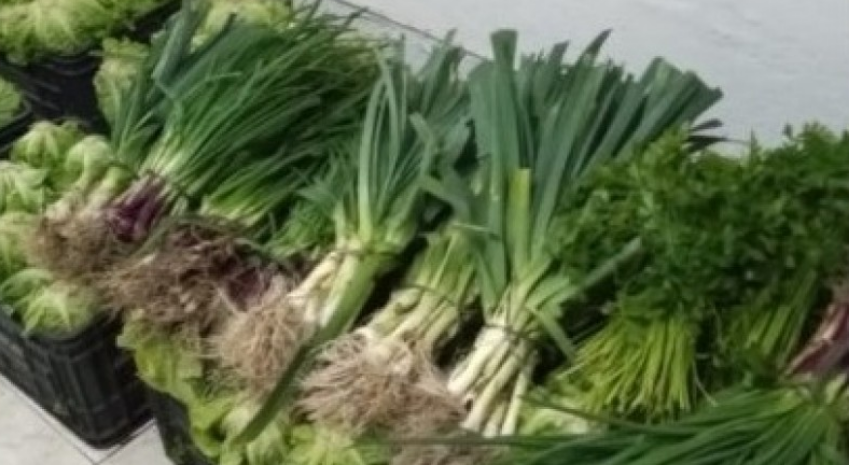 verduras
