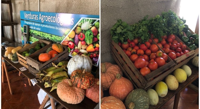 verduras