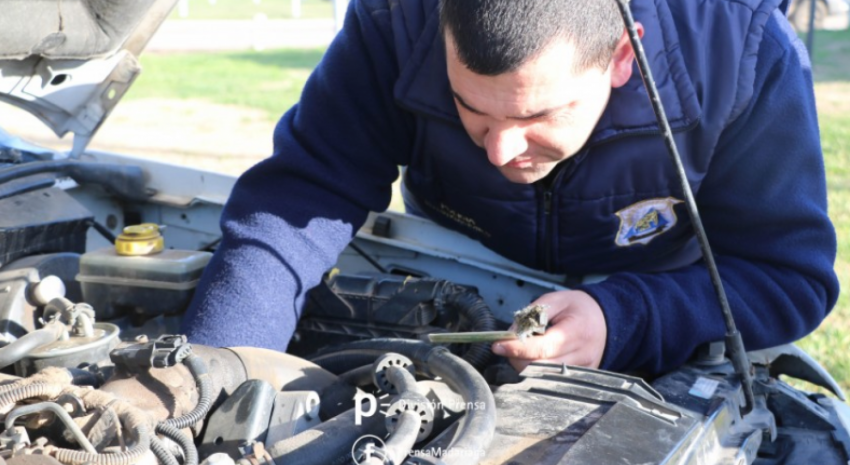 verificacion vehicular1
