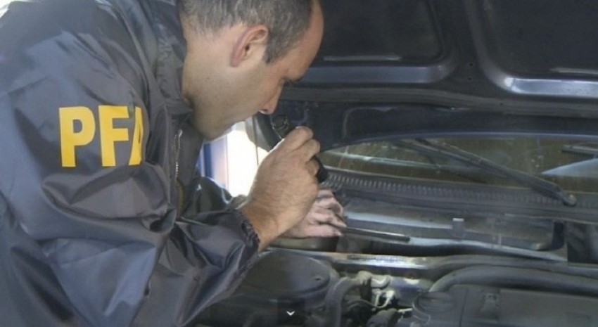 verificacion