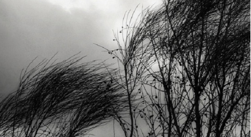 viento