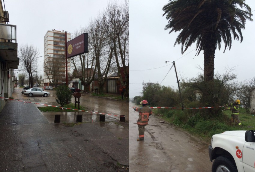 tormenta bomberos