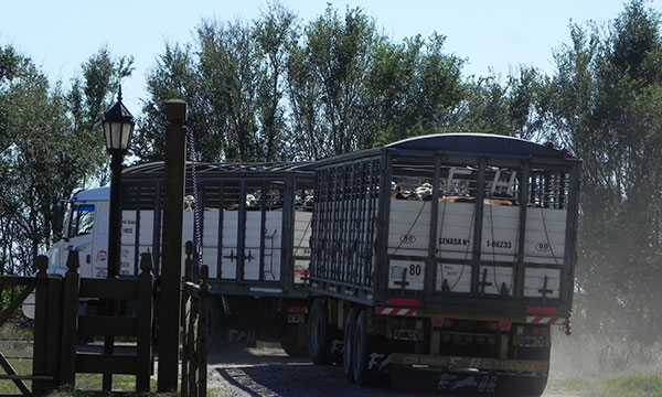 transporte de hacienda