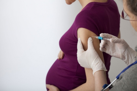 vacunacion embarazadas